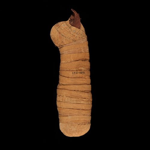 A photograph of a small mummified cat, in brown wrappings, with little ears poking up.