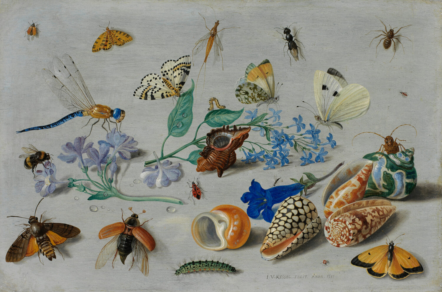 A colourful oil painting of insects, shells, and flowers, including a caterpillar, butterflies, beetles. flies and blue and purple flowers.